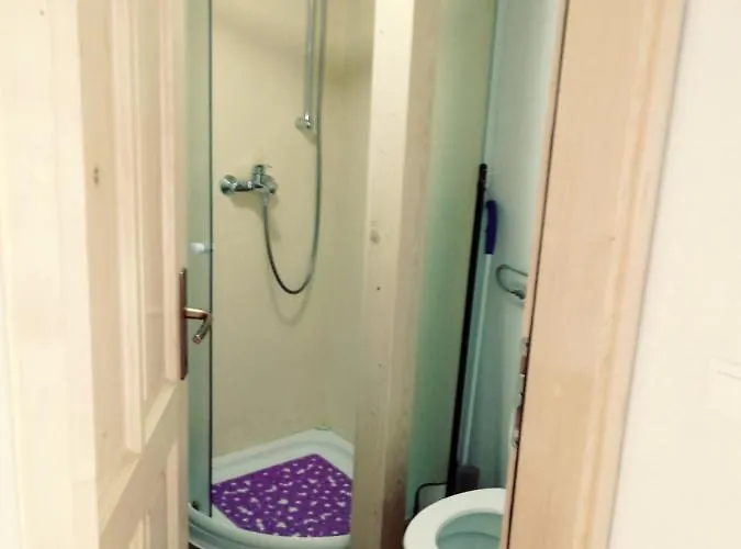 Apartma Hiska Korosec * בוהין